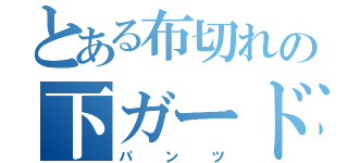 とある布切れの下ガード（パンツ）