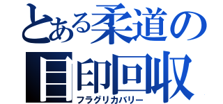 とある柔道の目印回収（フラグリカバリー）