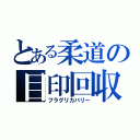 とある柔道の目印回収（フラグリカバリー）