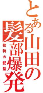 とある山田の髪部爆発（独特の髪型）