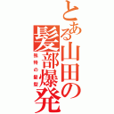 とある山田の髪部爆発（独特の髪型）