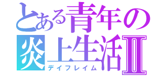 とある青年の炎上生活Ⅱ（デイフレイム）