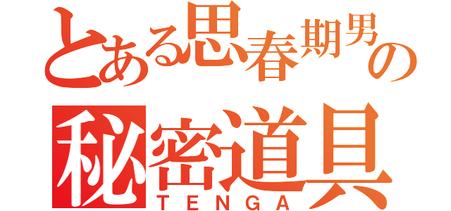 とある思春期男子の秘密道具（ＴＥＮＧＡ）