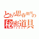 とある思春期男子の秘密道具（ＴＥＮＧＡ）