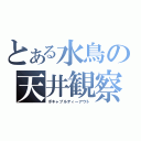 とある水鳥の天井観察（ボキャブルティーアウト）