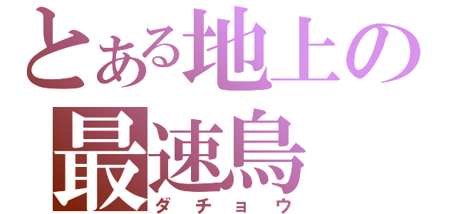とある地上の最速鳥（ダチョウ）