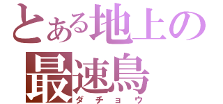 とある地上の最速鳥（ダチョウ）