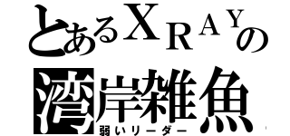 とあるＸＲＡＹの湾岸雑魚（弱いリーダー）