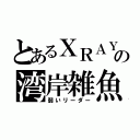 とあるＸＲＡＹの湾岸雑魚（弱いリーダー）