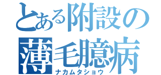 とある附設の薄毛臆病（ナカムタショウ）