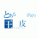 とある帥氣的の王雞皮（ＴＵＲＫＥＹ）