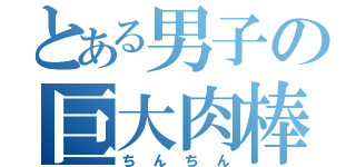 とある男子の巨大肉棒（ちんちん）