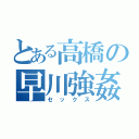 とある高橋の早川強姦（セックス）