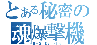 とある秘密の魂爆撃機（Ｂ－２ Ｓｐｉｒｉｔ）