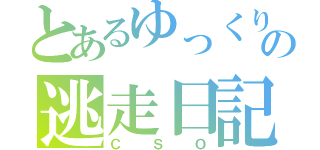 とあるゆっくりの逃走日記（ＣＳＯ）