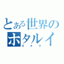 とある世界のホタルイカ（オタク）