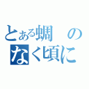 とある蜩のなく頃に（）