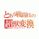 とある戦闘技の超獣変換（ソウルバースト）