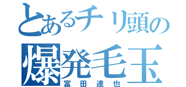 とあるチリ頭の爆発毛玉（富田達也）