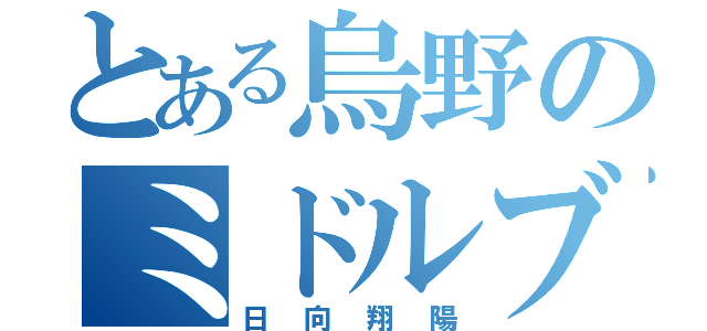 とある烏野のミドルブロッカー（日向翔陽）