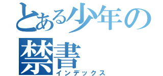 とある少年の禁書（インデックス）