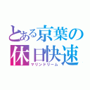 とある京葉の休日快速（マリンドリーム）