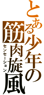 とある少年の筋肉旋風（センセーション）