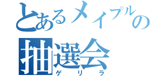 とあるメイプルの抽選会（ゲリラ）