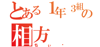 とある１年３組の相方（ちぃ♡）