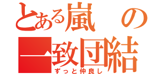 とある嵐の一致団結（ずっと仲良し）