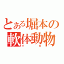 とある堀本の軟体動物（イカ）