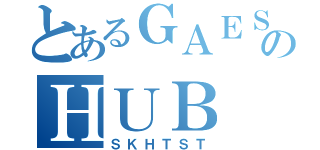 とあるＧＡＥＳ’のＨＵＢ（ＳＫＨＴＳＴ）