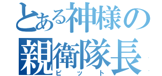 とある神様の親衛隊長（ピット）