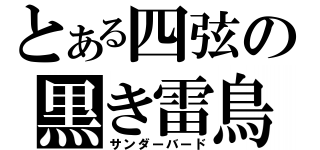 とある四弦の黒き雷鳥（サンダーバード）