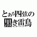 とある四弦の黒き雷鳥（サンダーバード）