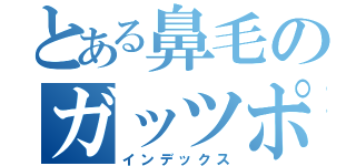 とある鼻毛のガッツポーズ（インデックス）