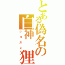 とある偽名の白神 狸（シロガミ）