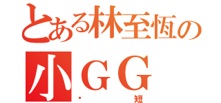 とある林至恆の小ＧＧ（絕短）