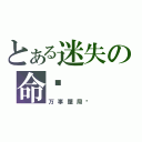 とある迷失の命运（万事屋局长）