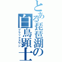 とある琵琶湖の白鳥顕士（ブラックスワン）