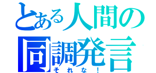 とある人間の同調発言（それな！）