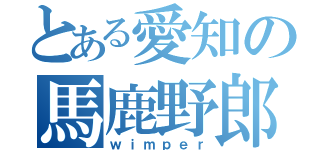 とある愛知の馬鹿野郎（ｗｉｍｐｅｒ）