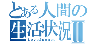 とある人間の生活状況Ⅱ（Ｌｏｖｅ＆ｐｅａｃｅ）