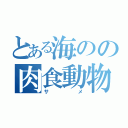 とある海のの肉食動物（サメ）