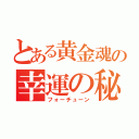 とある黄金魂の幸運の秘（フォーチューン）