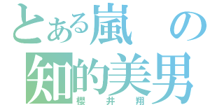 とある嵐の知的美男（櫻井翔）