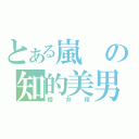 とある嵐の知的美男（櫻井翔）