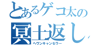 とあるゲコ太の冥土返し（ヘヴンキャンセラー）