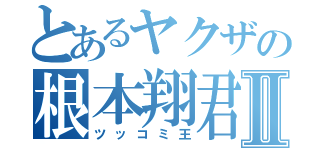 とあるヤクザの根本翔君Ⅱ（ツッコミ王）