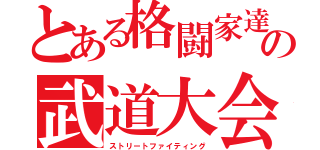 とある格闘家達の武道大会（ストリートファイティング）